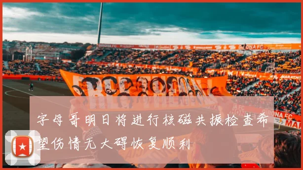 字母哥明日将进行核磁共振检查希望伤情无大碍恢复顺利